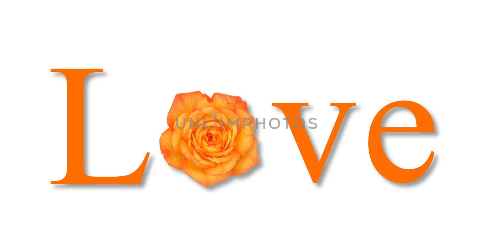 Love Flower Orange by hlehnerer