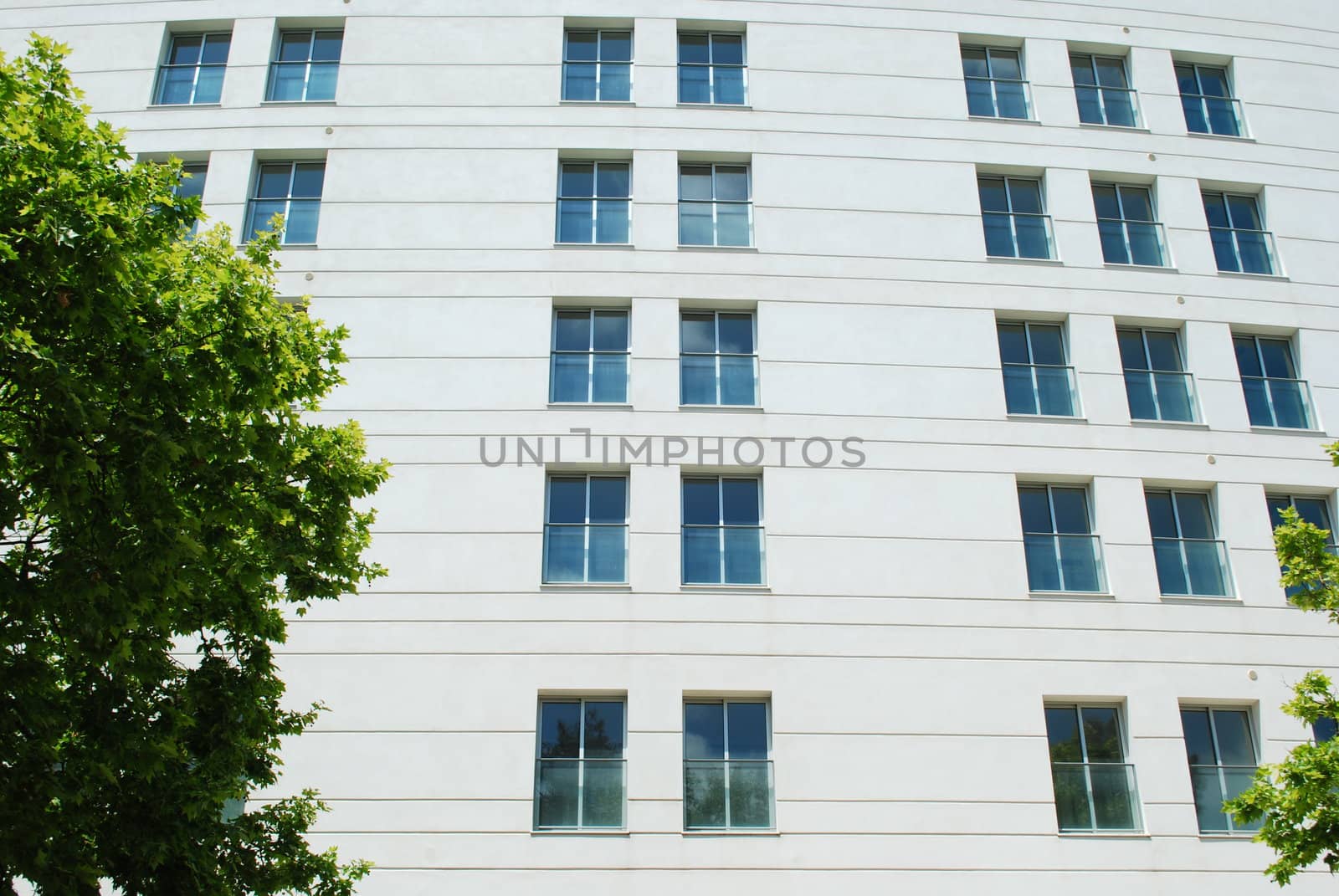 marble modern building in a rich area