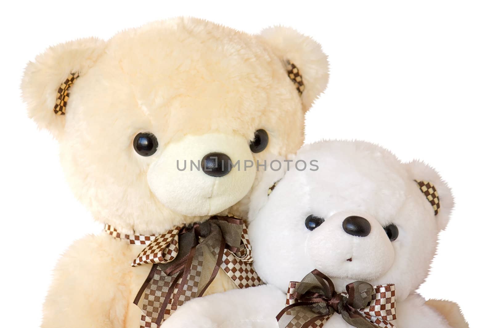 two teddy bears by zhannaprokopeva