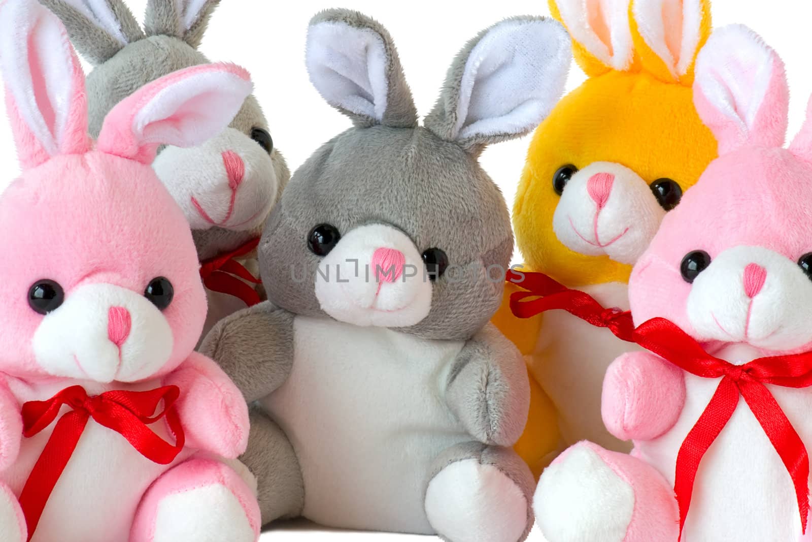Lots of colorful toy rabbits, isolated on a white background