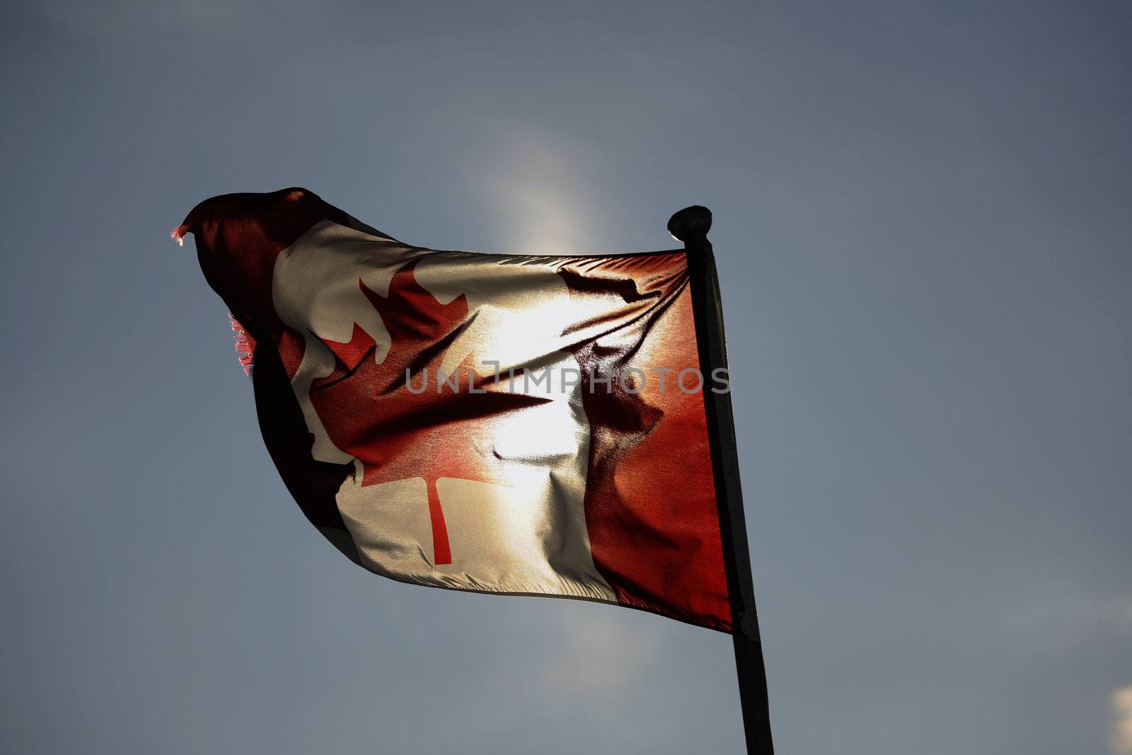 Flag of Canada. The flag of Canada fluttering on a wind. A background - the dark blue sky.