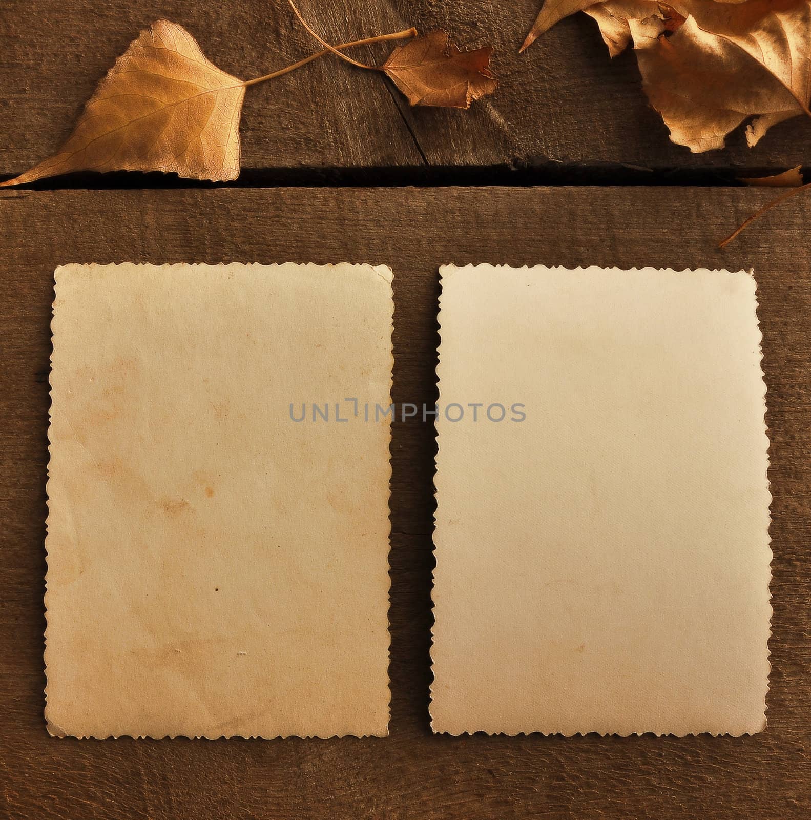 two empty photo frame over wooden background 