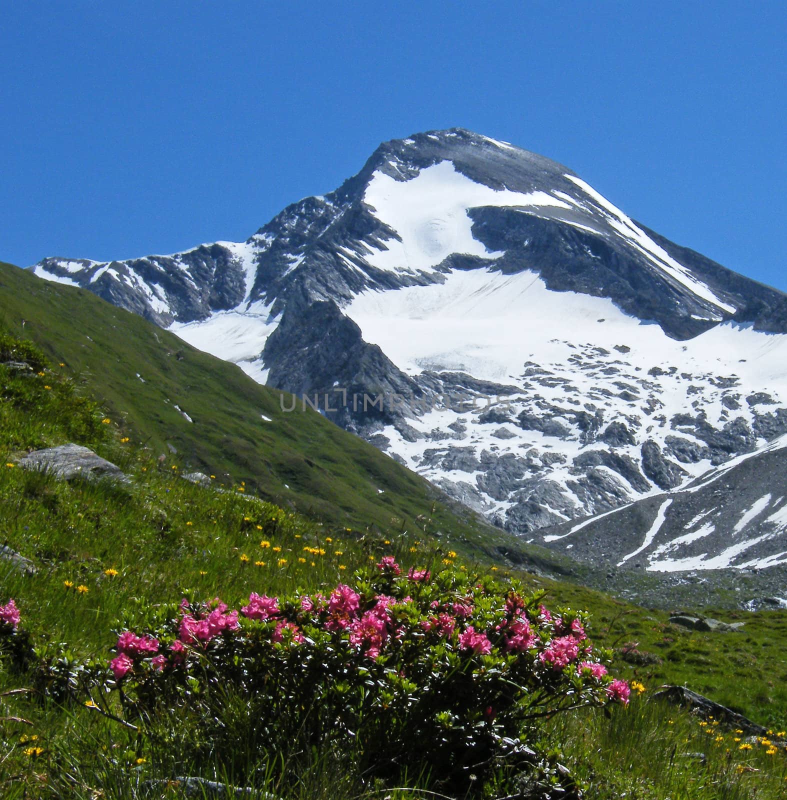 high mountain with glacier in alps