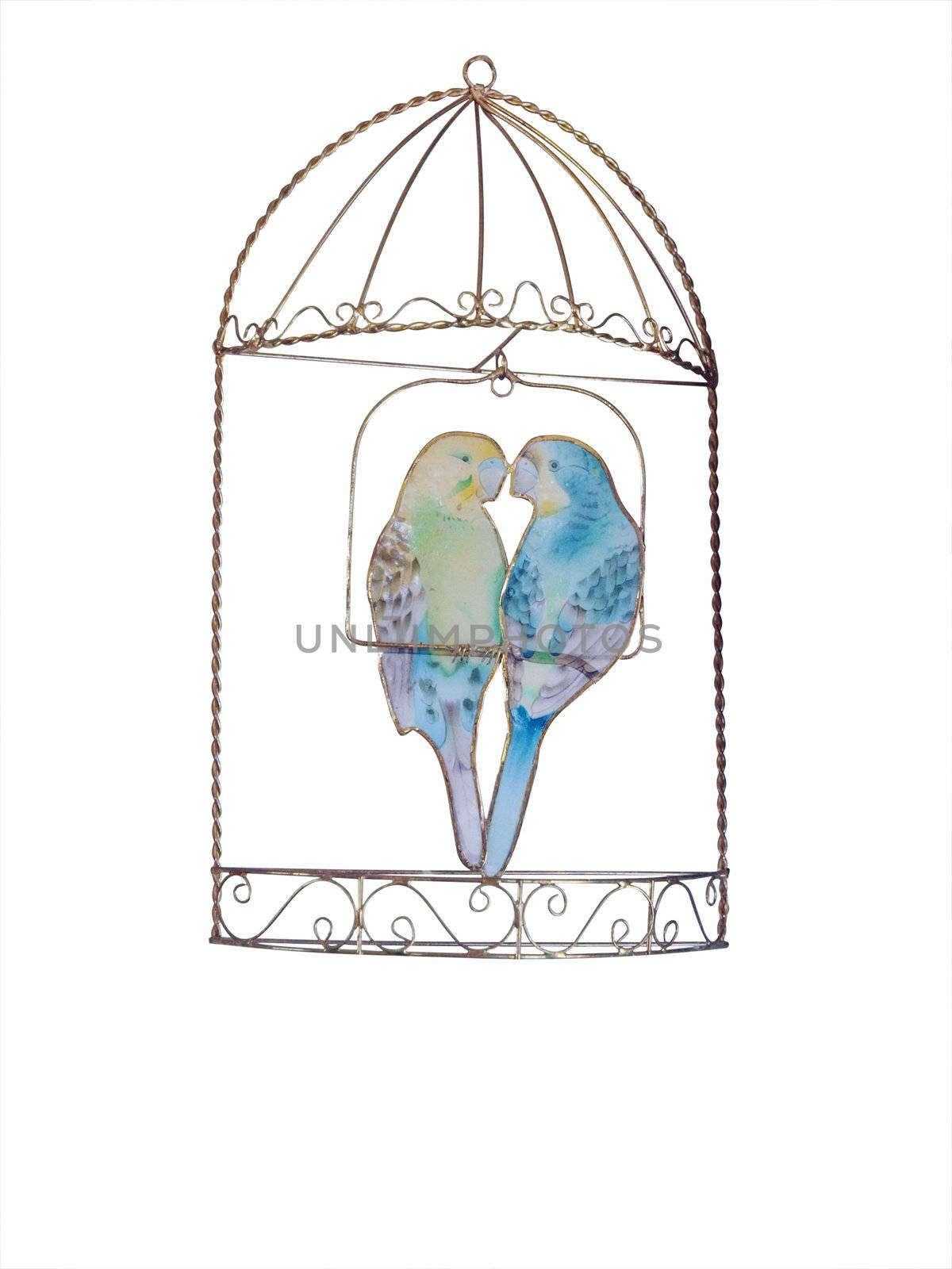 Ornamental Budgies in a Cage isolated with clipping path      