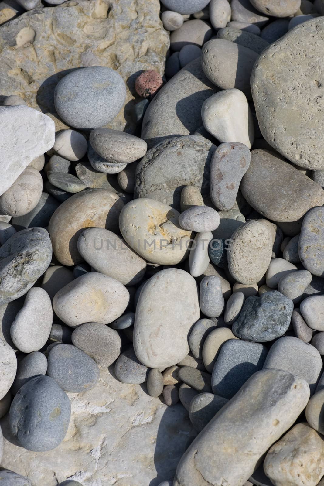 Closeup of shore stone, on the beaches of Georgian Bay, in the Bruce Peninsula, Ontario, Canada.
