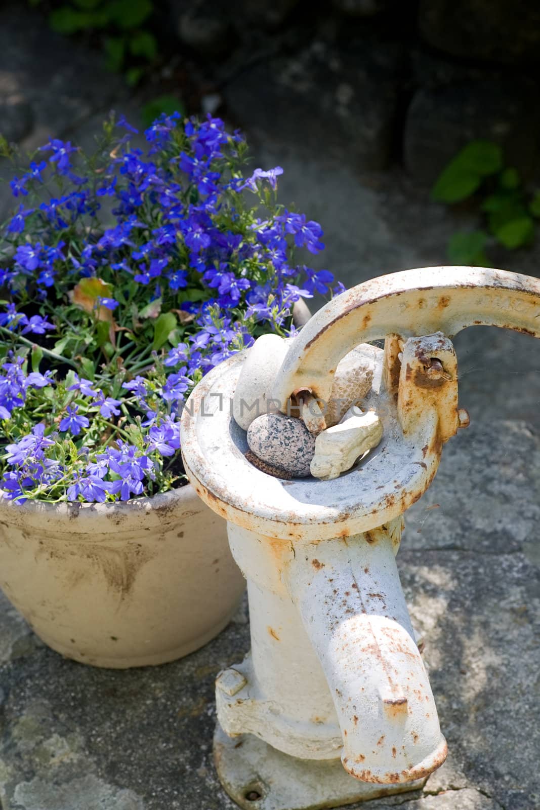 An old rusty water pump sitting beside a pot full of small  blue flowers.