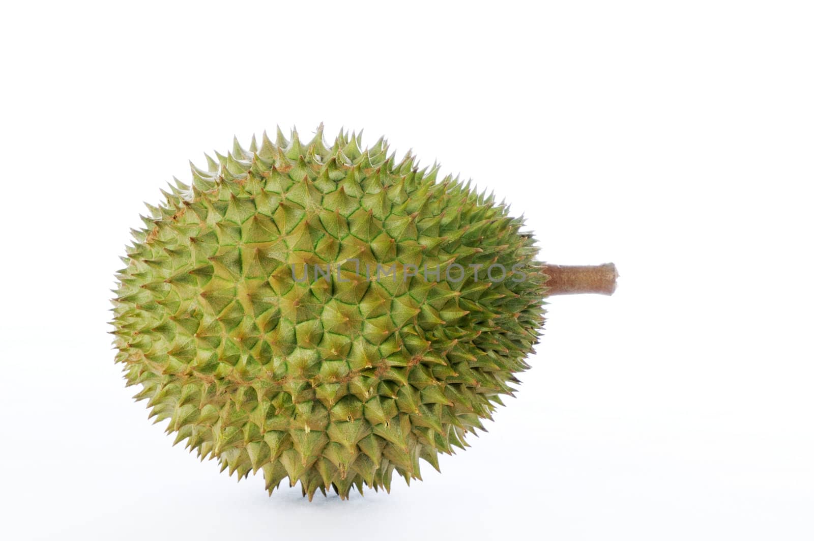 Durian, the king of fruits from South East Asia on white background.