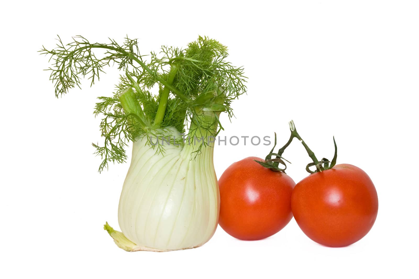 tomato and fennel isolated on white background