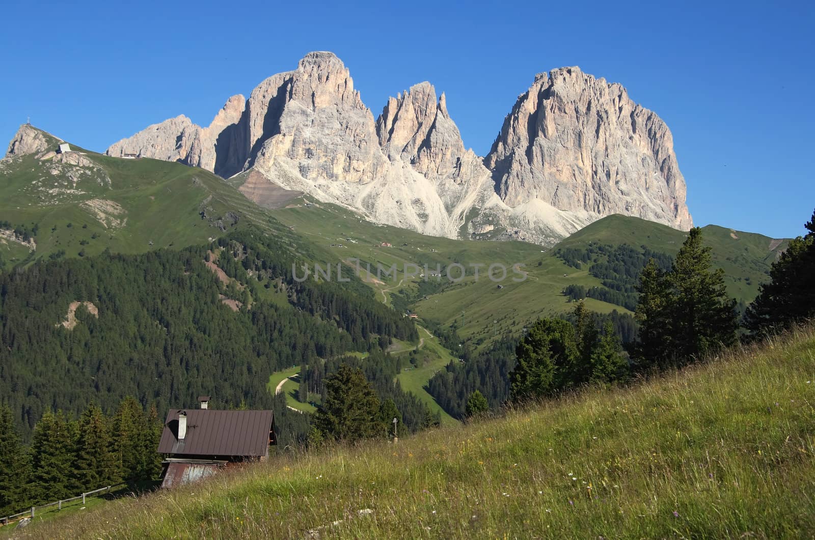 Summer view of  italian dolomites in val di fassa