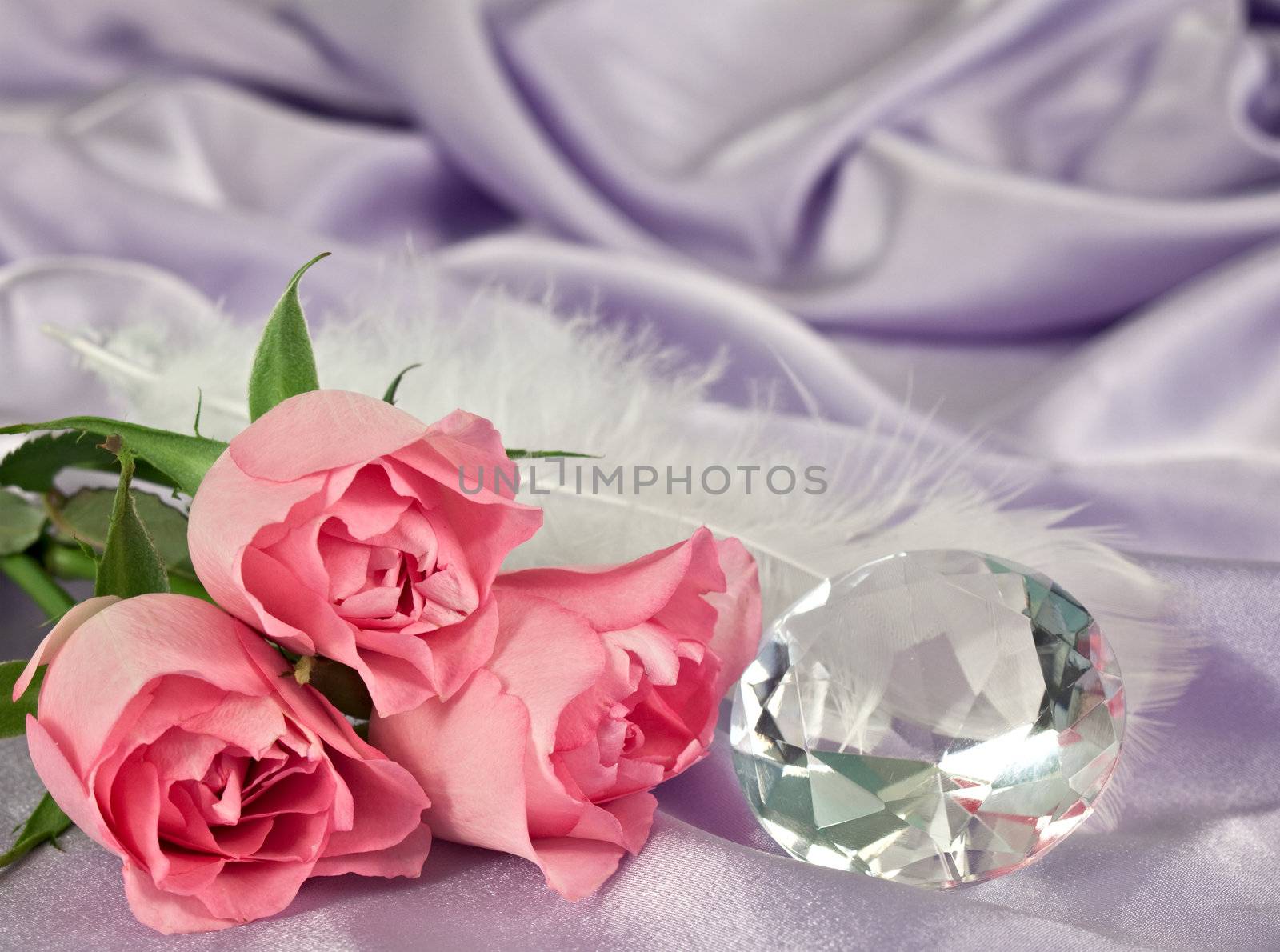 Rosebuds and diamond by Clivia