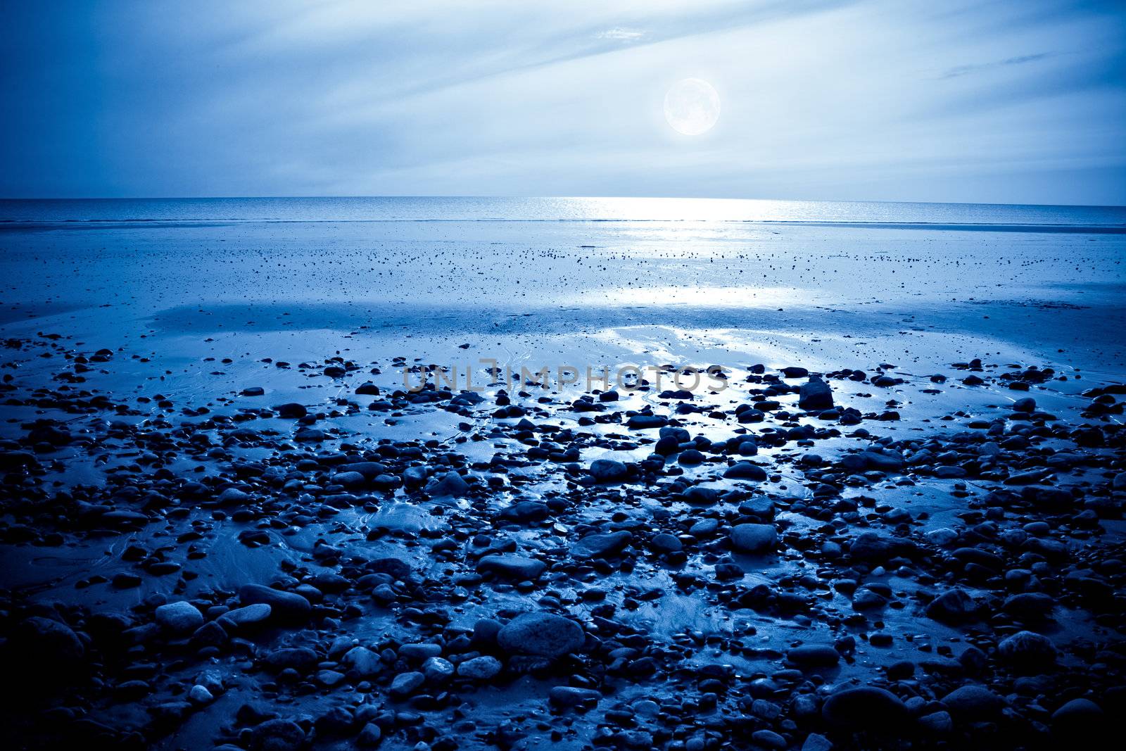 Moonlight Bay by Clivia