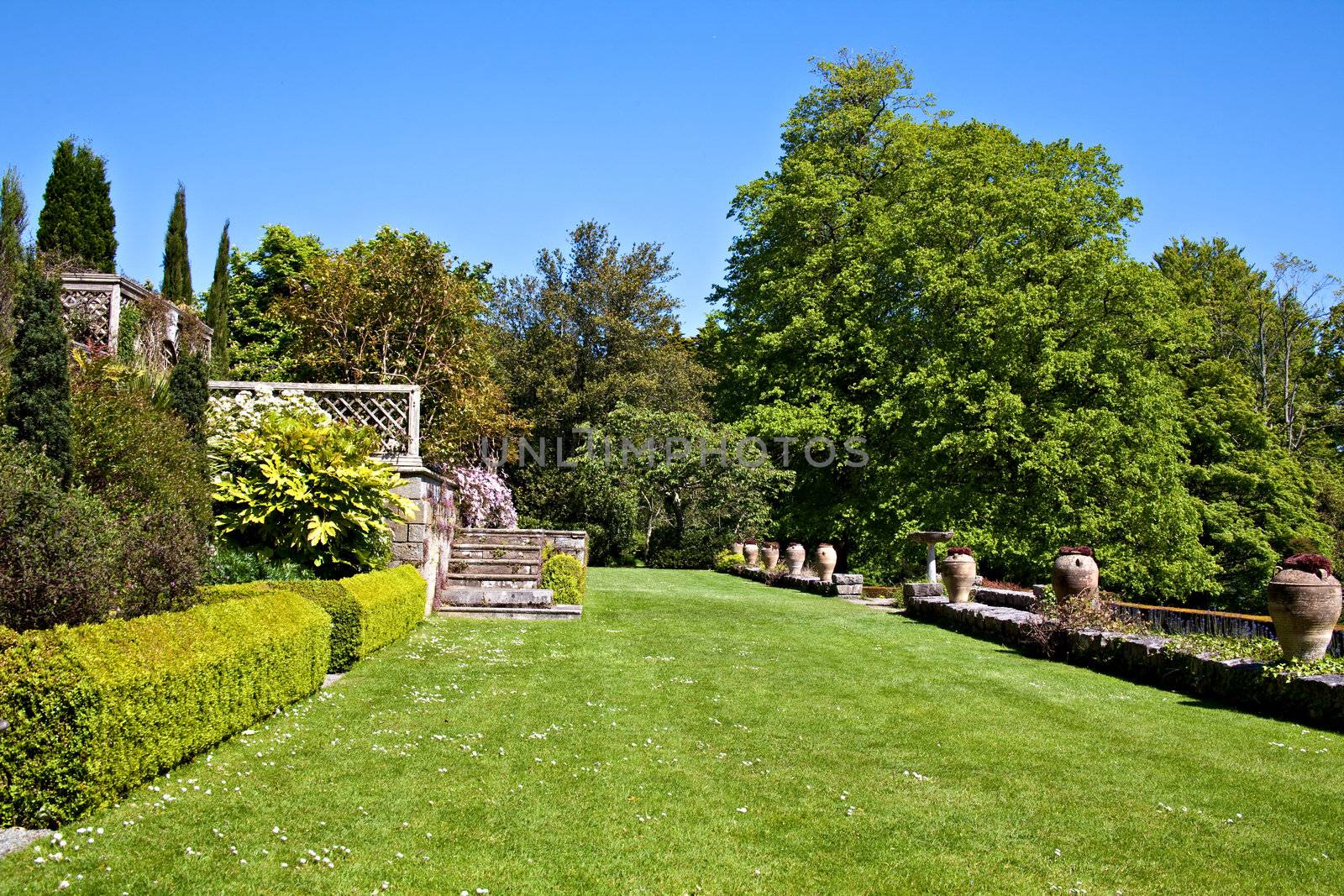 A beautiful English garden with green lawn and steps