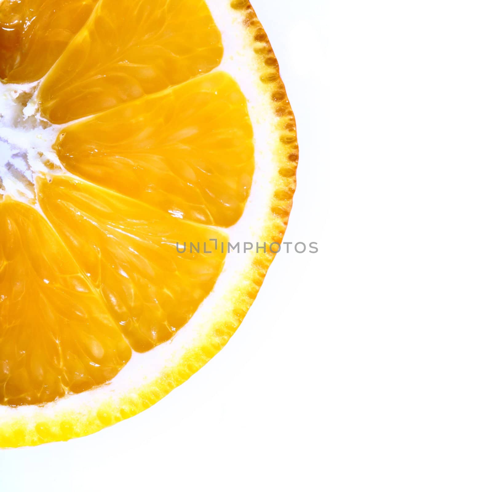 orange slice macro close up