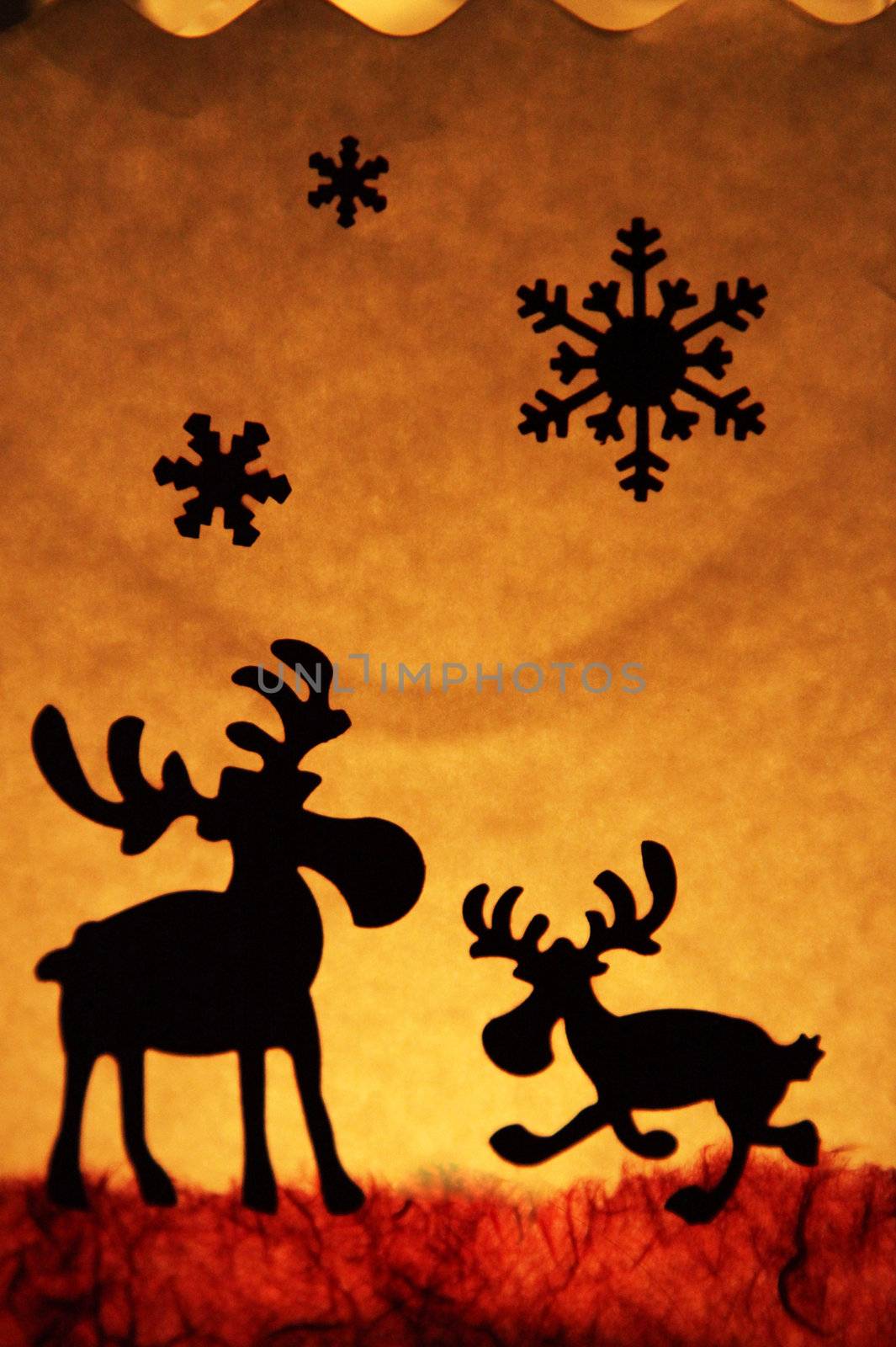 Christmas theme - two reindeer and stars in the sky
