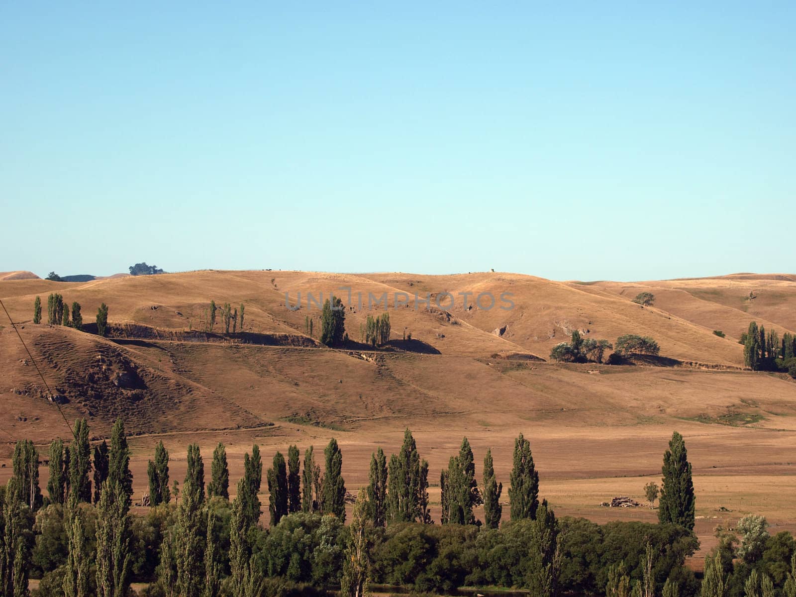 Cloudless Sky over Drought Affected Hills, Central Hawkes Bay New Zealand (Febuary 2009)     