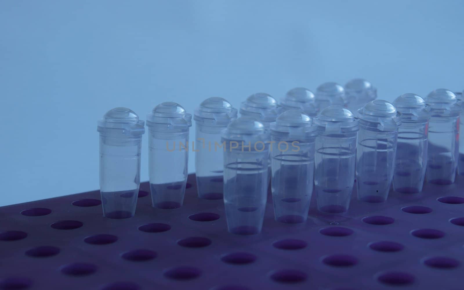Transparent small laboratory test tubes for experimental research techniques