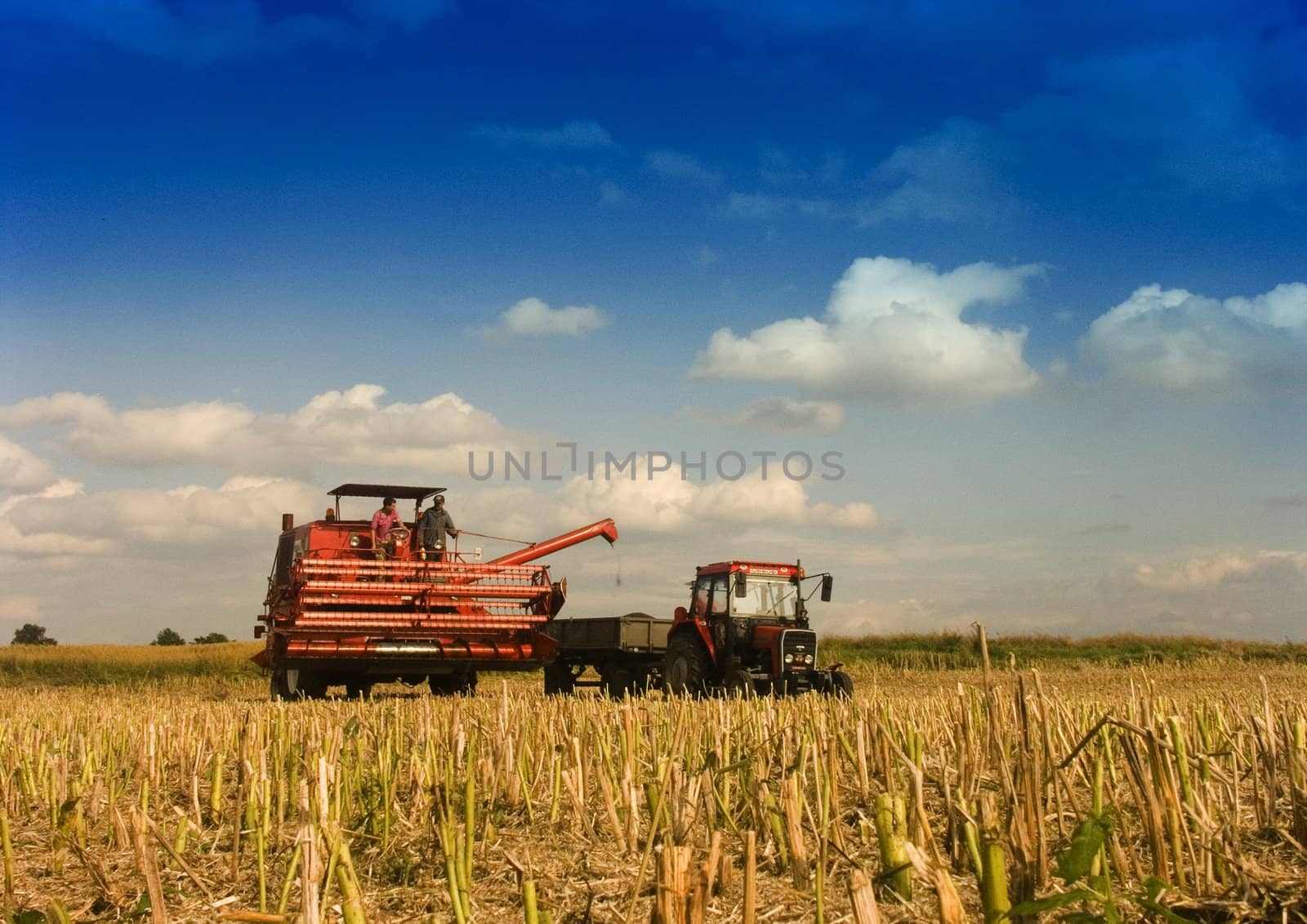 Big red combine performing his job