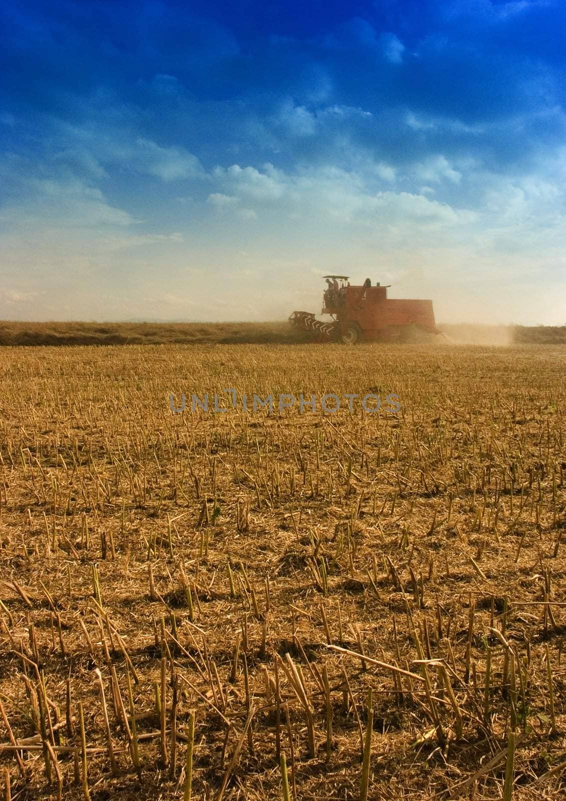 Big red combine performing his job