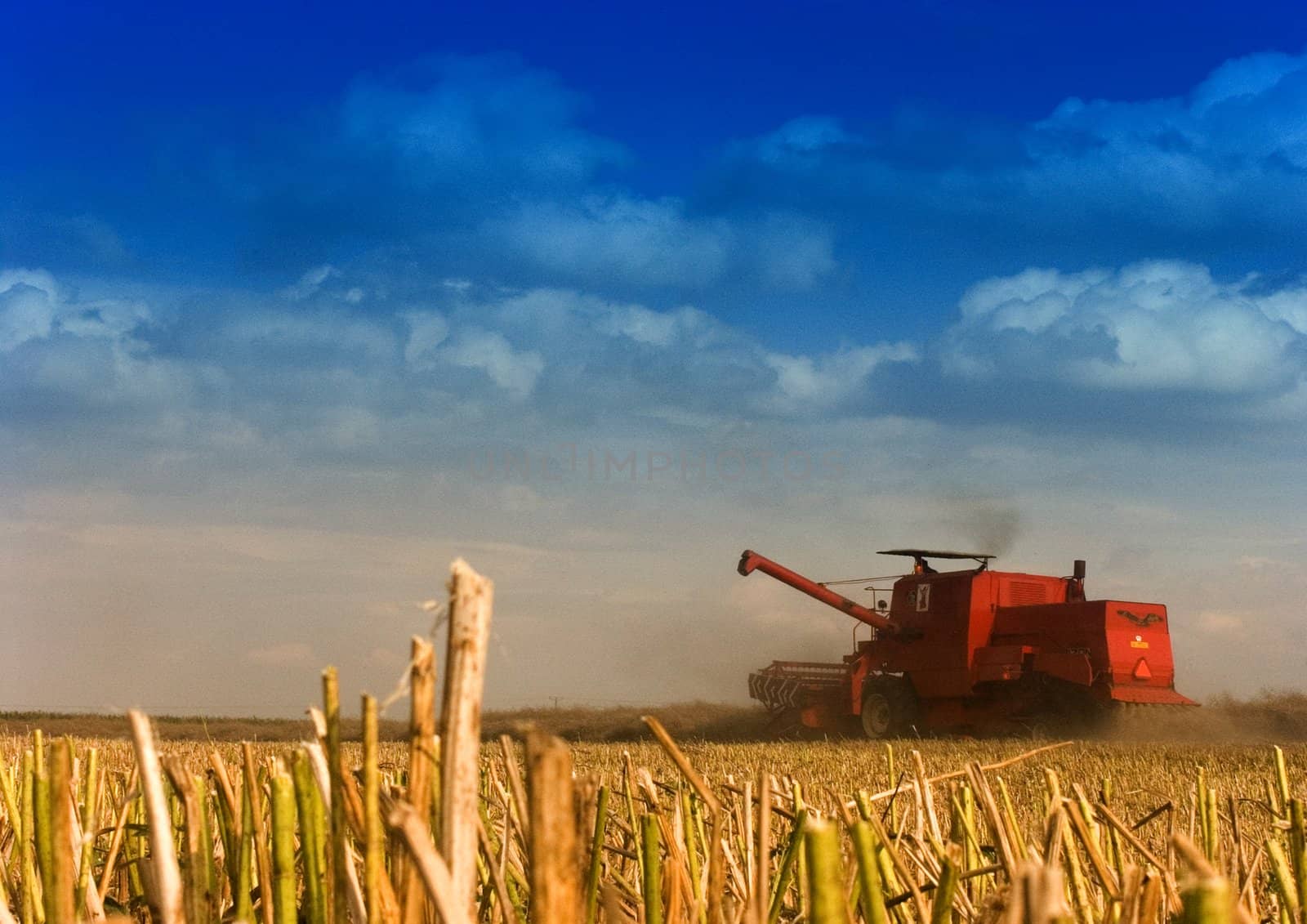 Big red combine performing his job