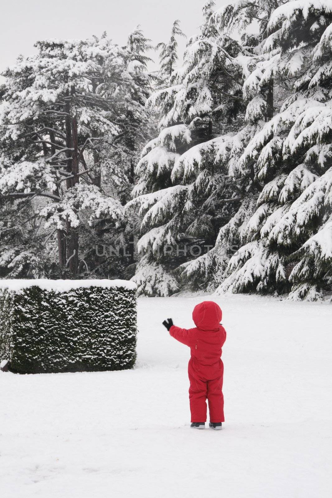 Tom Thumb in the snow by neko92vl