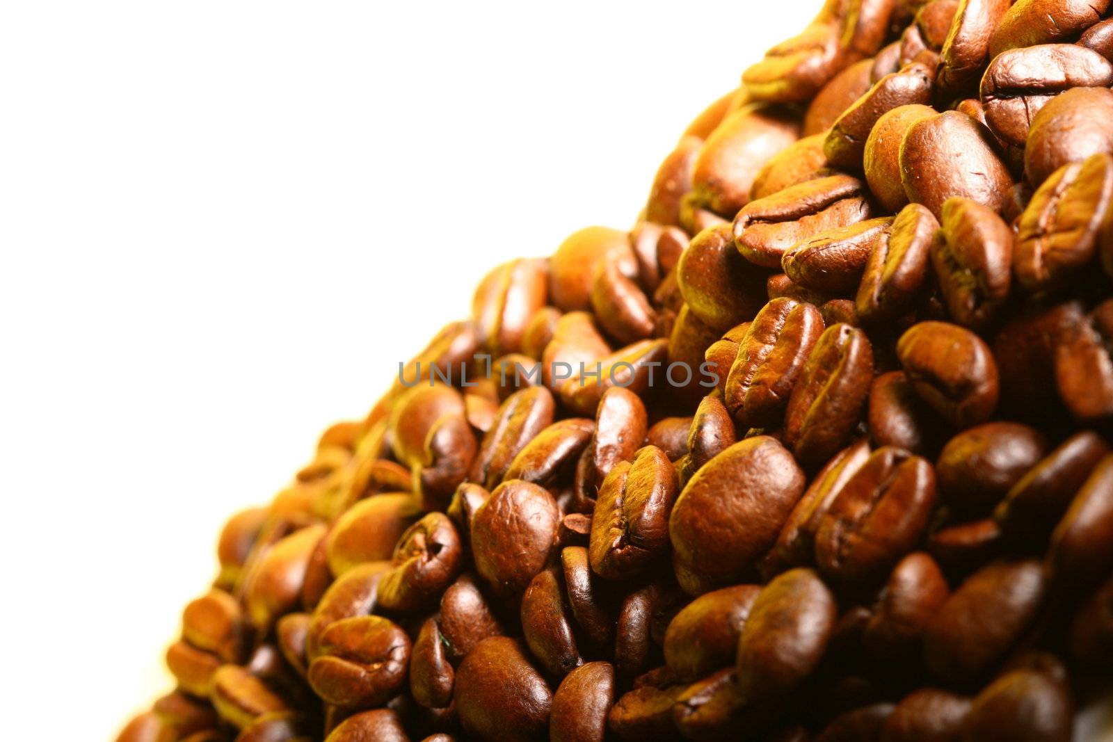 coffee beans detailed macro close up