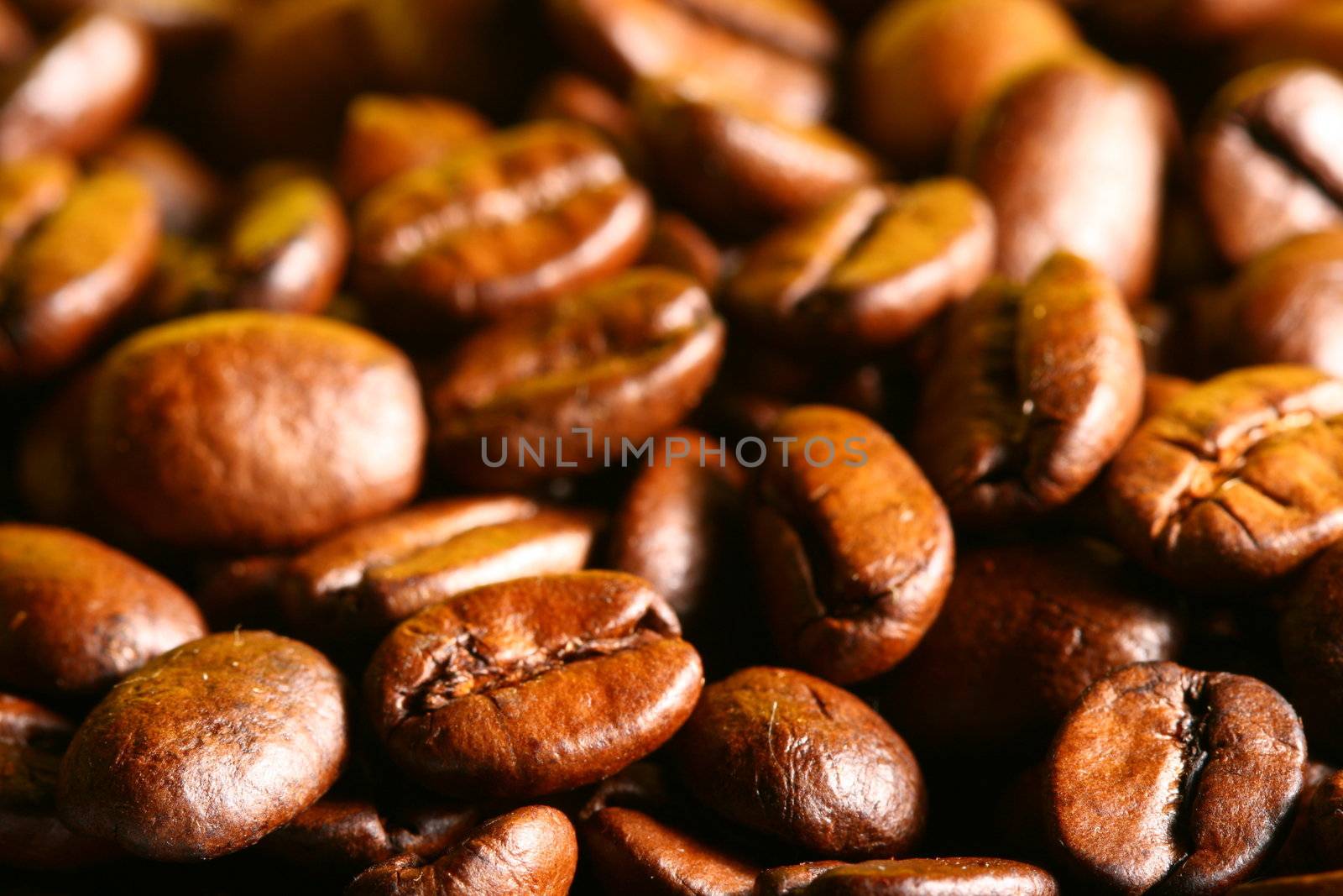 coffee beans detailed macro close up