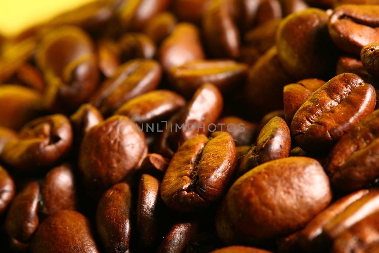 coffee beans detailed macro close up