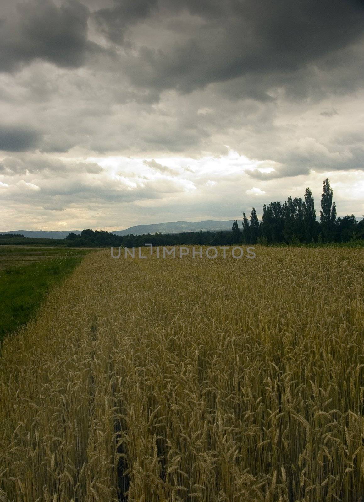 Beautiful picture of the village