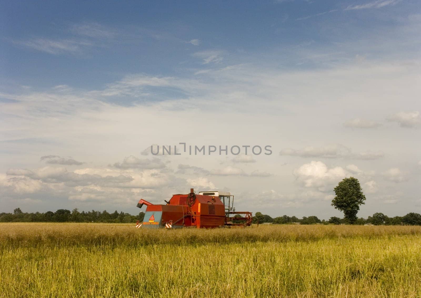 Big red combine performing his job.Combine shear rape