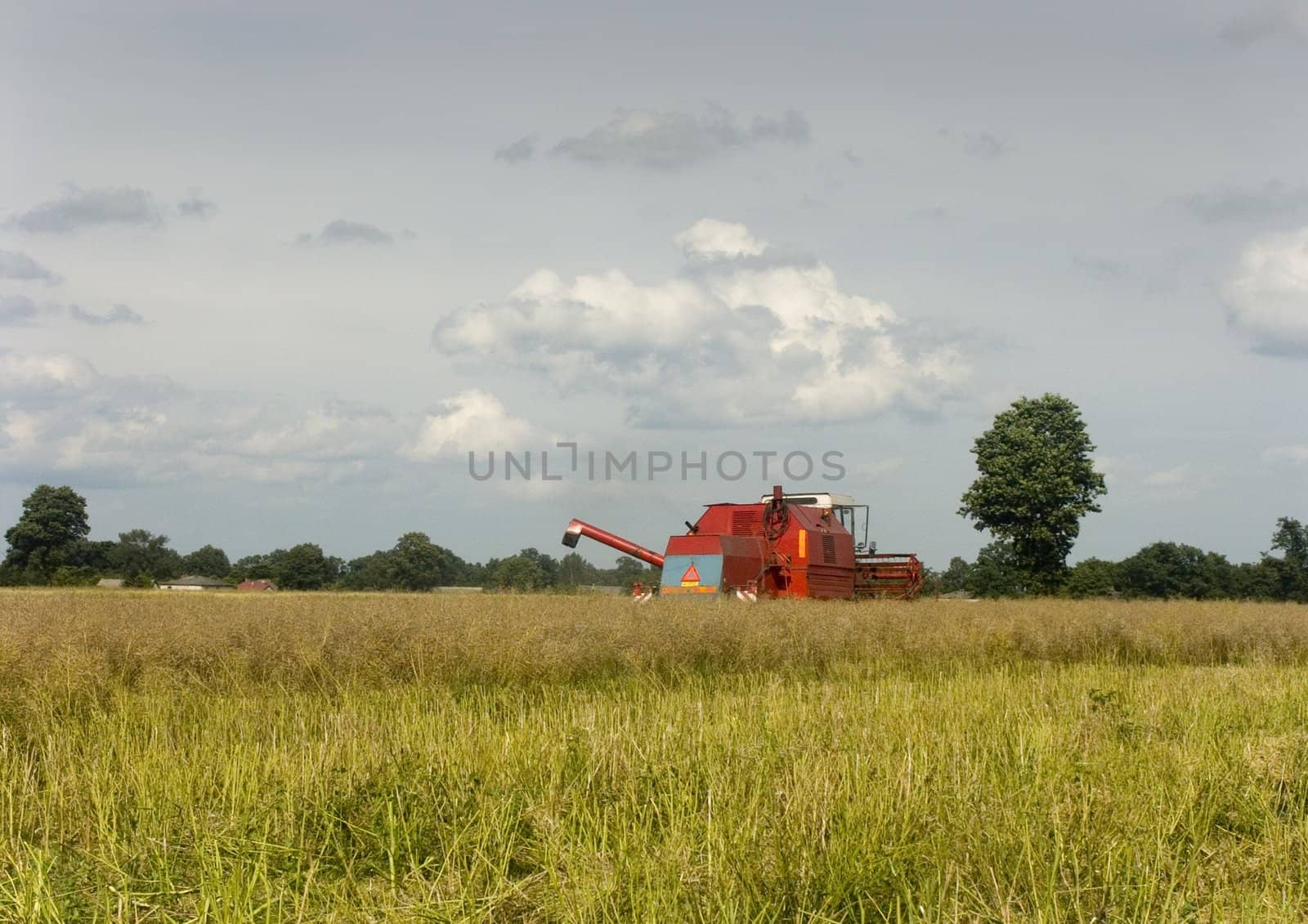 Big red combine performing his job.Combine shear rape