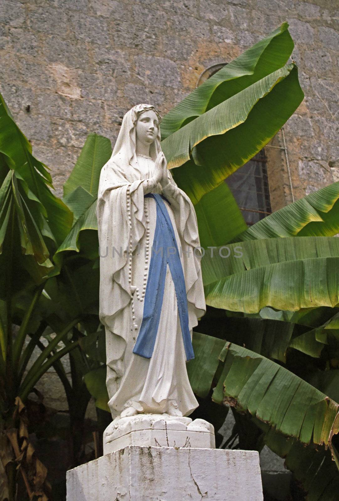 Banana leaves provide the backdrop to a statue honouring the Virgin in Barbotan-les-Thermes SW France