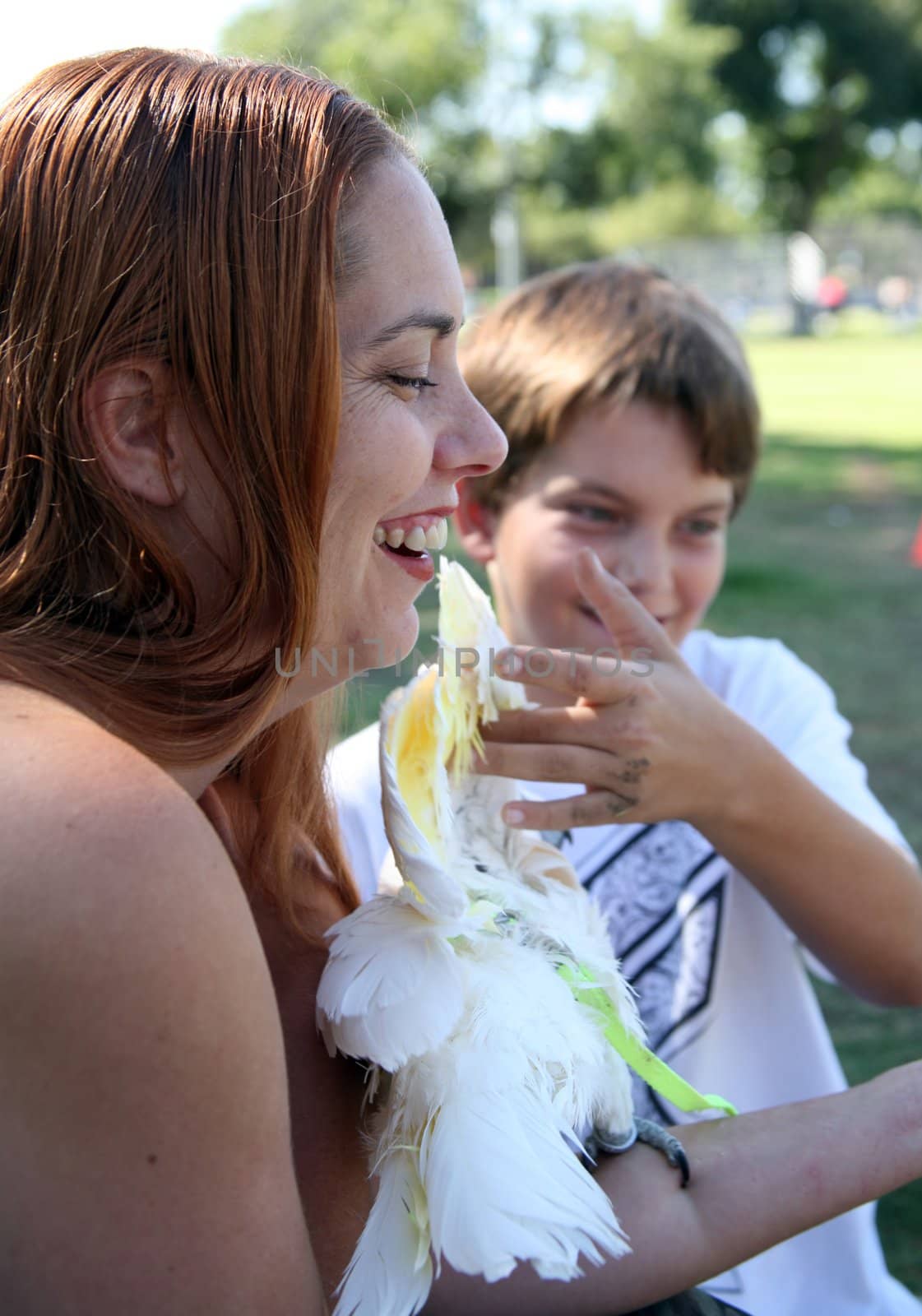 Child petting a cockatoo under its wings