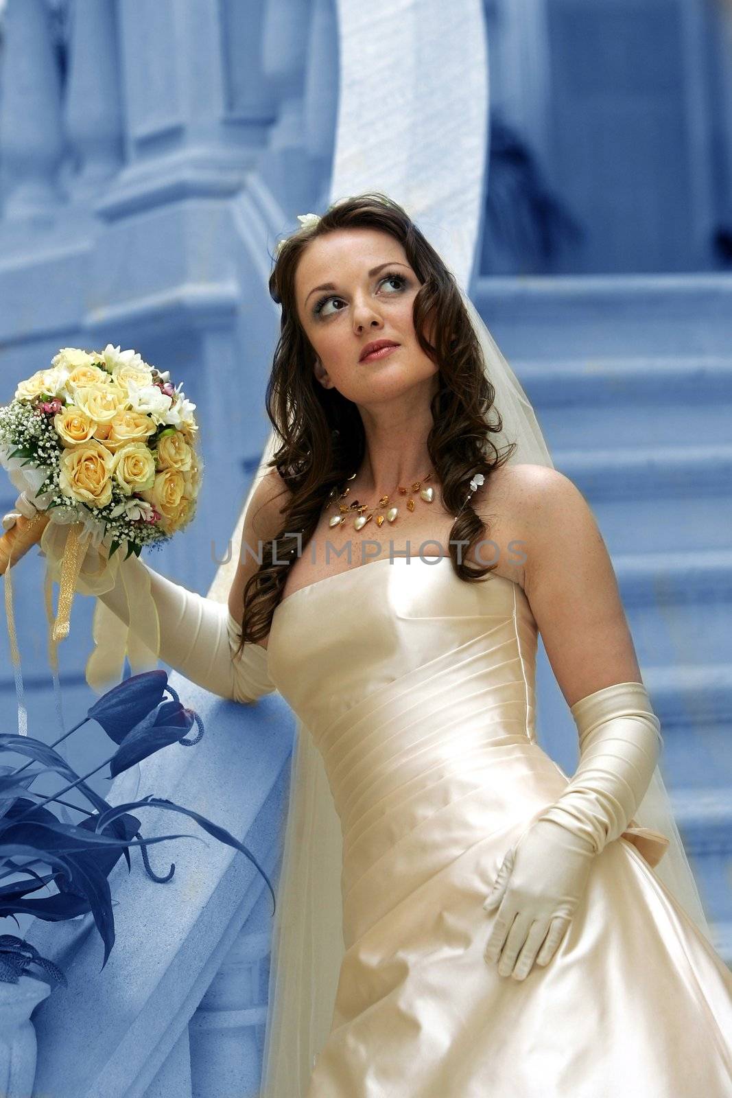 Low angle view of beautiful young bride with bouquet of flowers, blue background.