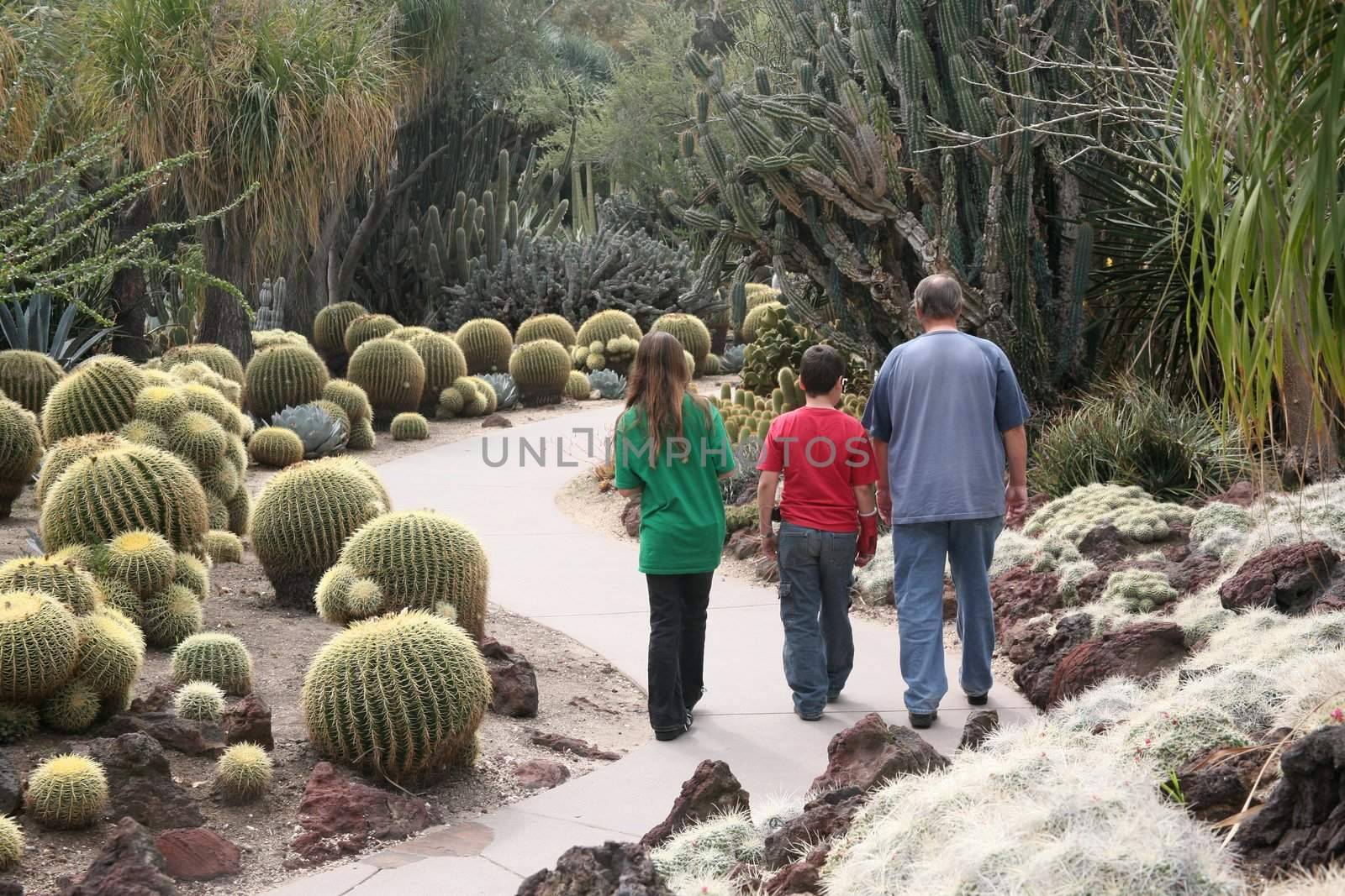 Cactus garden family by scrappinstacy