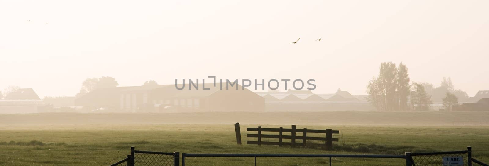 Company with glasshouses in farmland with fences on the foreground just after misty sunrise