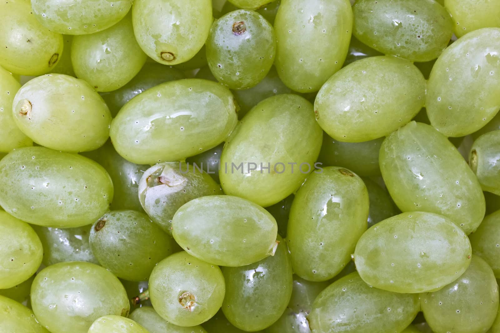 Fresh green  grapes background