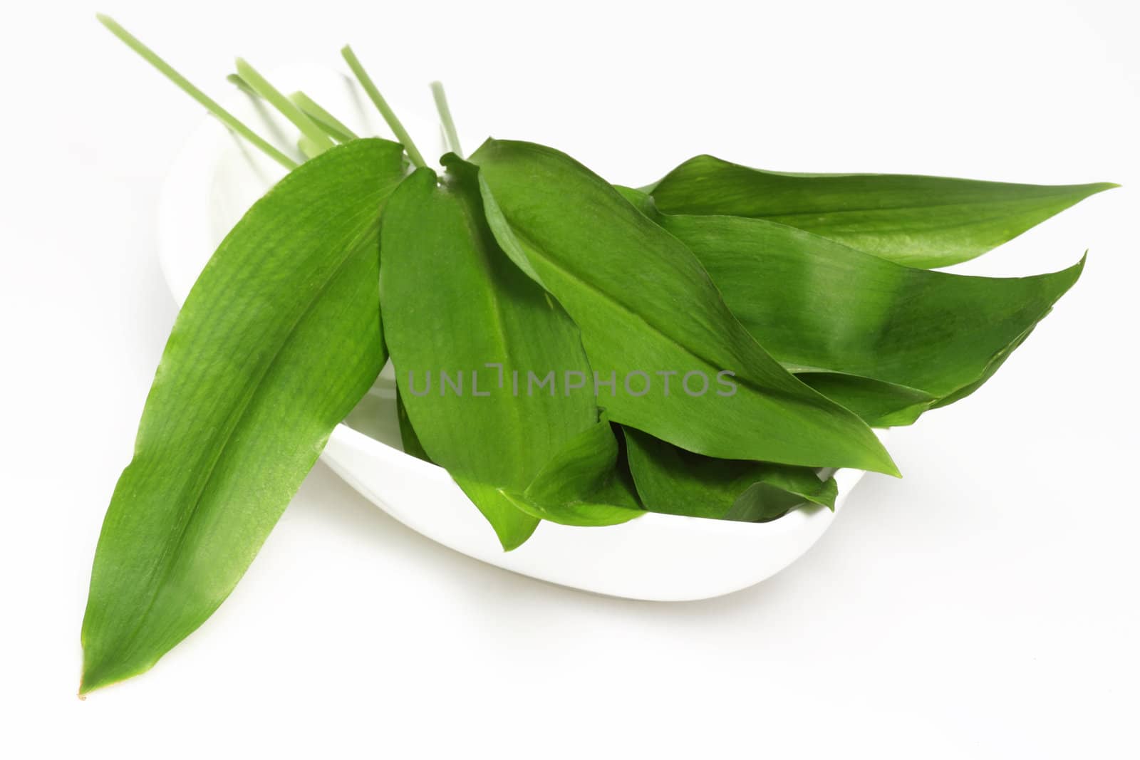 Fresh bear's garlic on bright background