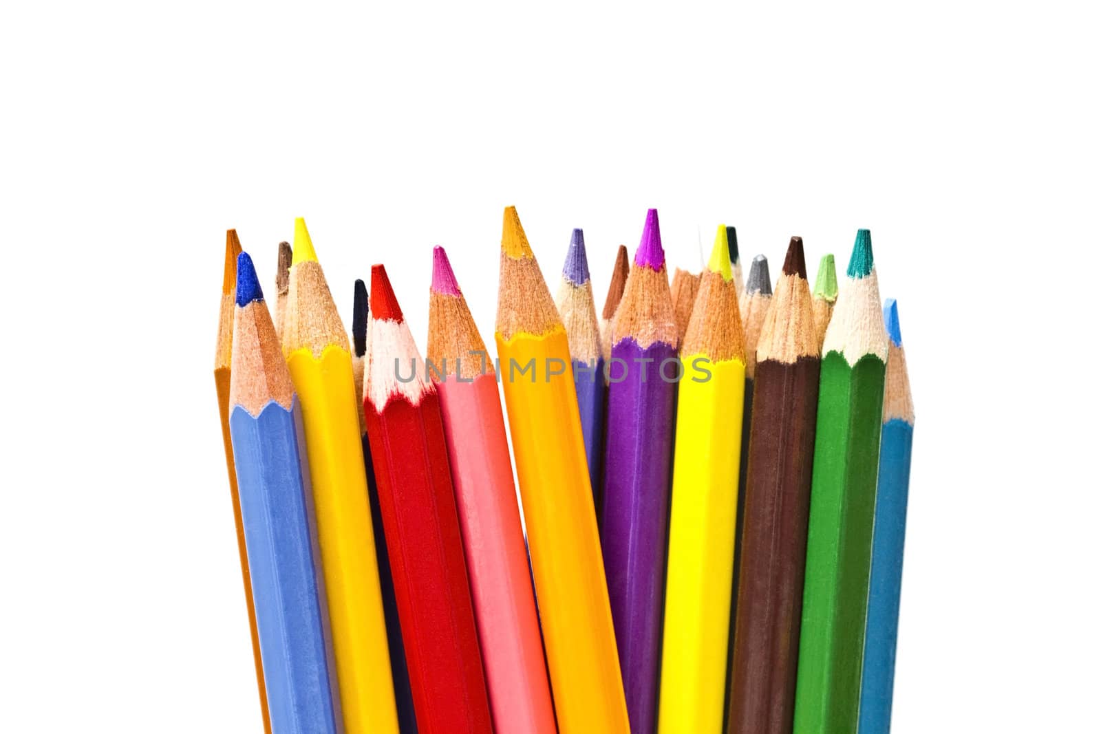 colorful pencils on focus isolated on white background
