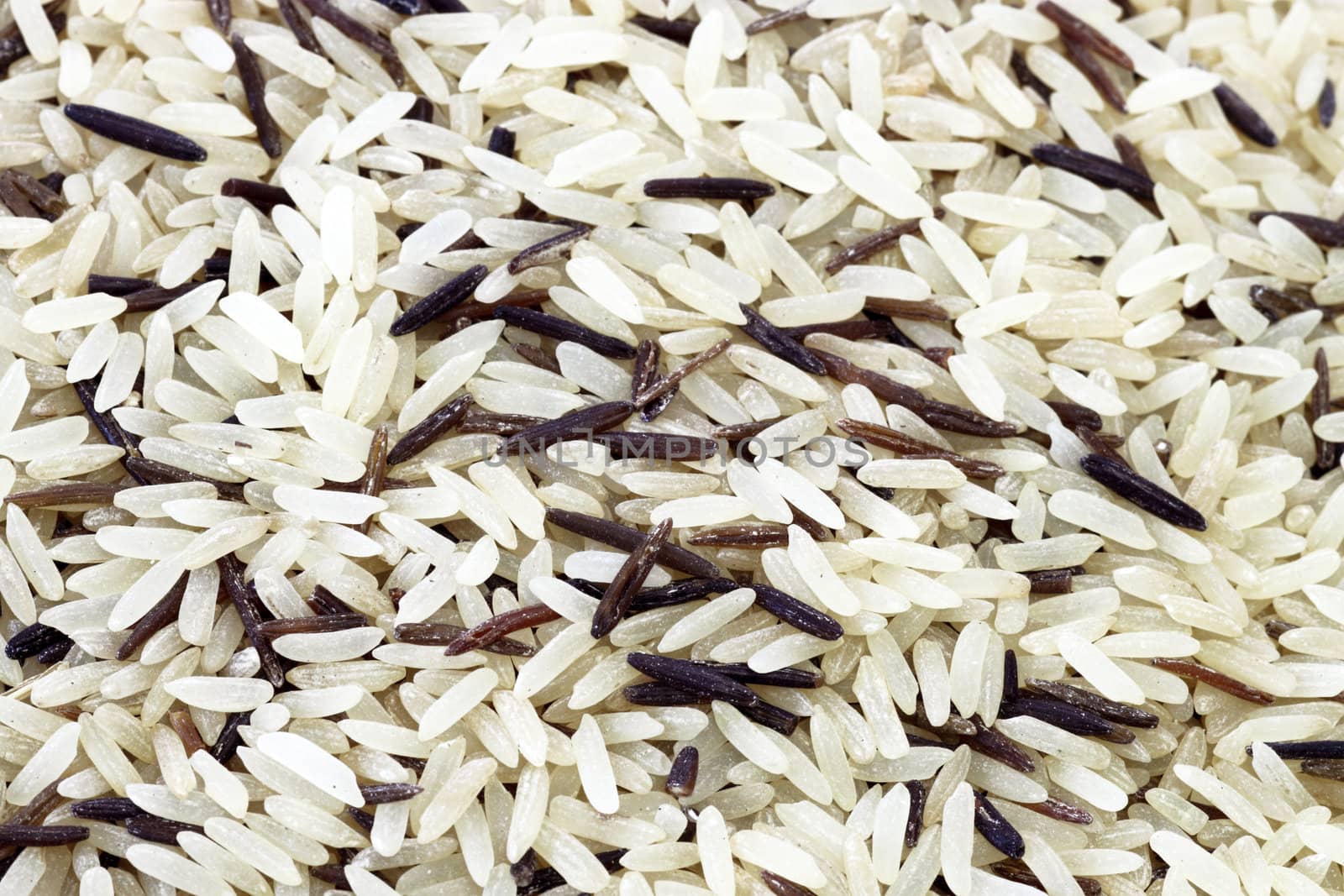 Long grain white and wild rice. Studio shot.