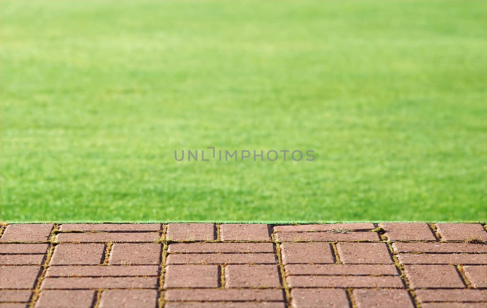 flat green lawn and block paved step abstract