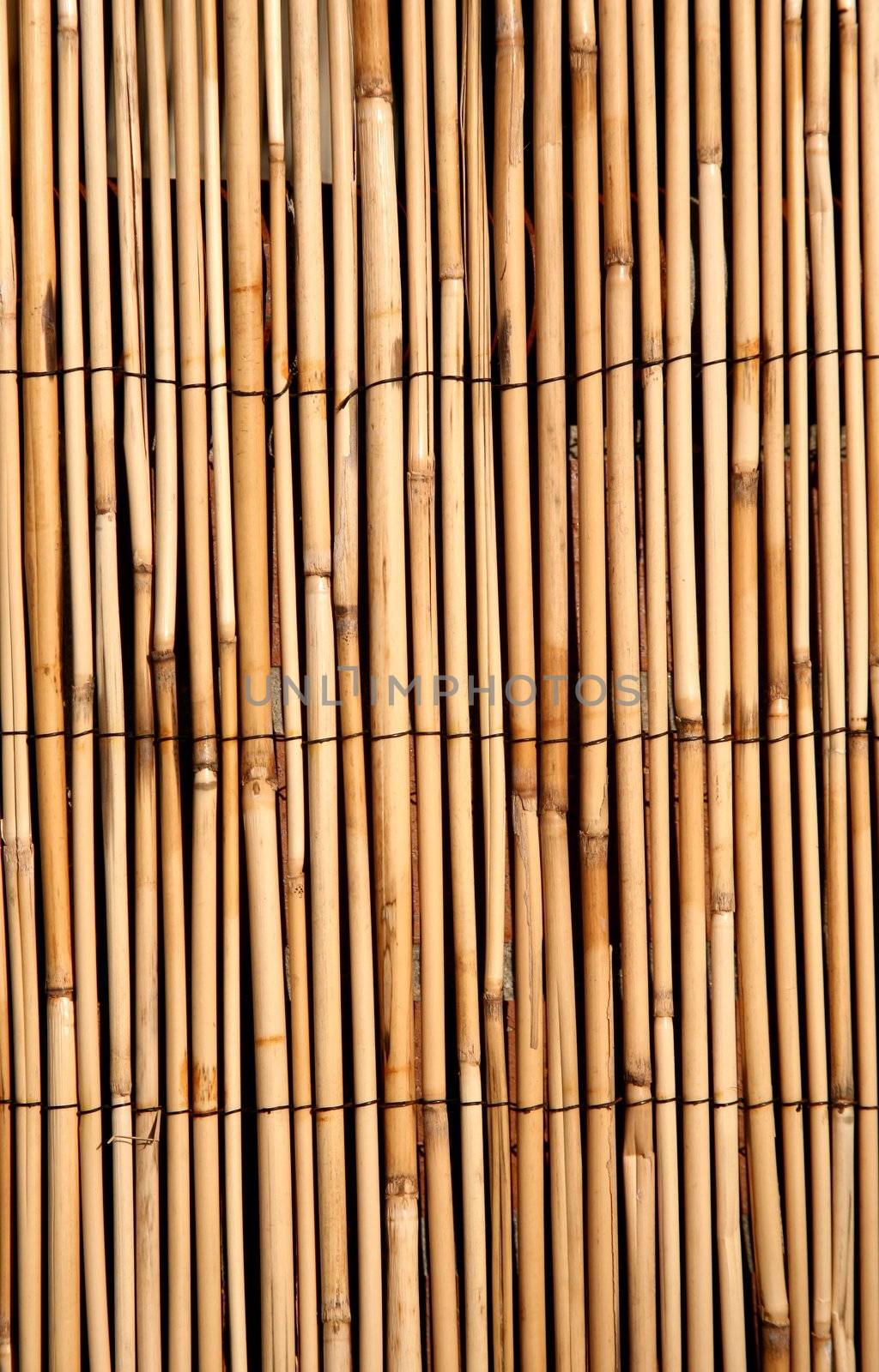 Deep golden rush or bamboo texture, digital image