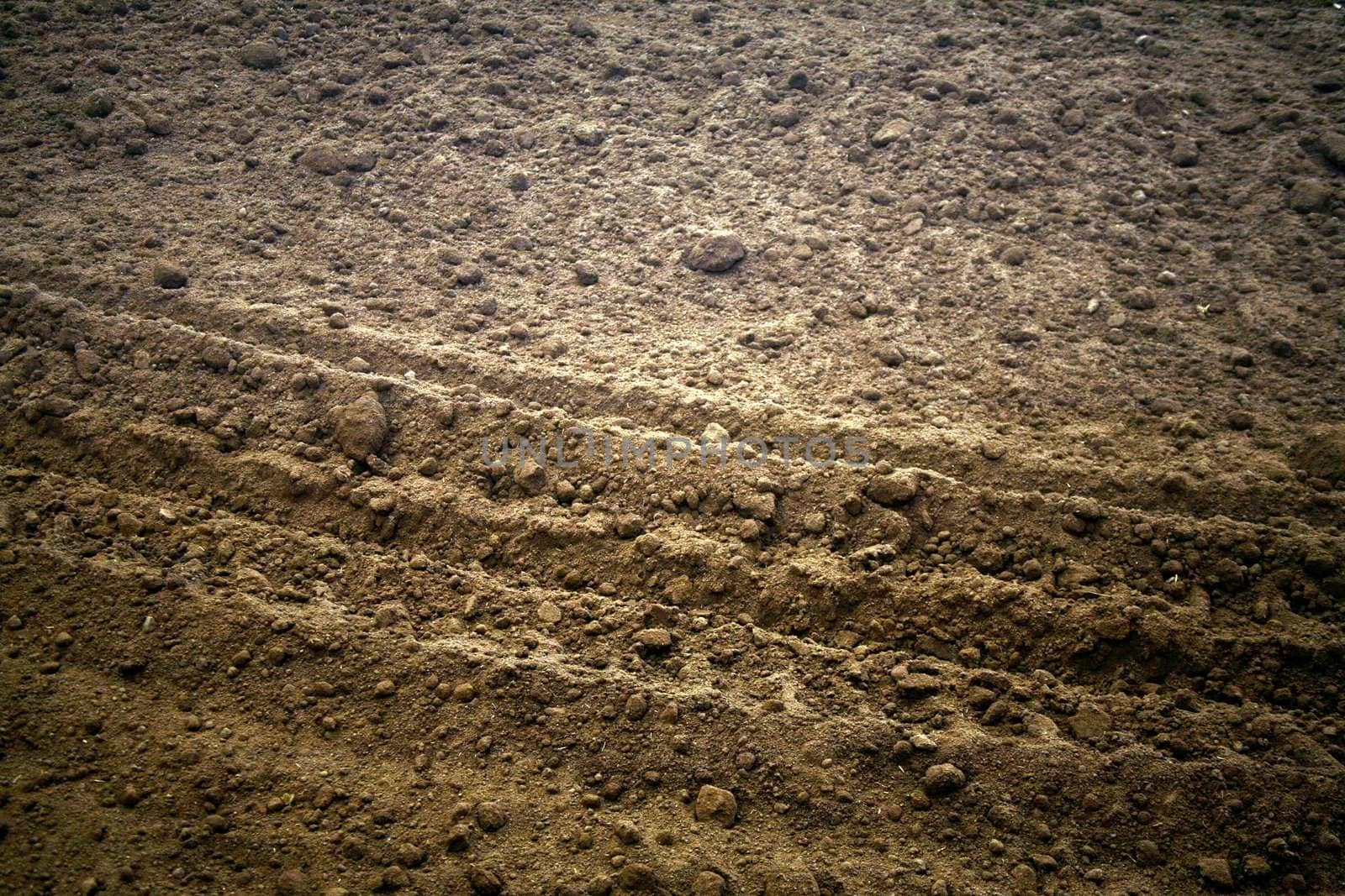 Dirt with a vehicle track running through it