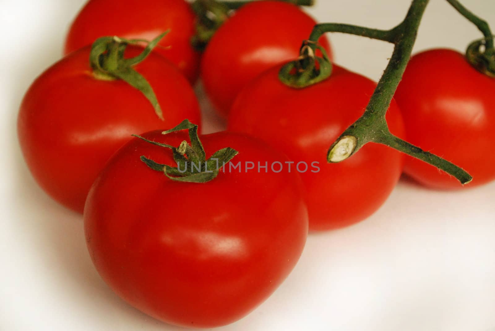 A close-up of four tomatoes on a white background. The tomatoes are still connected by their vine.
