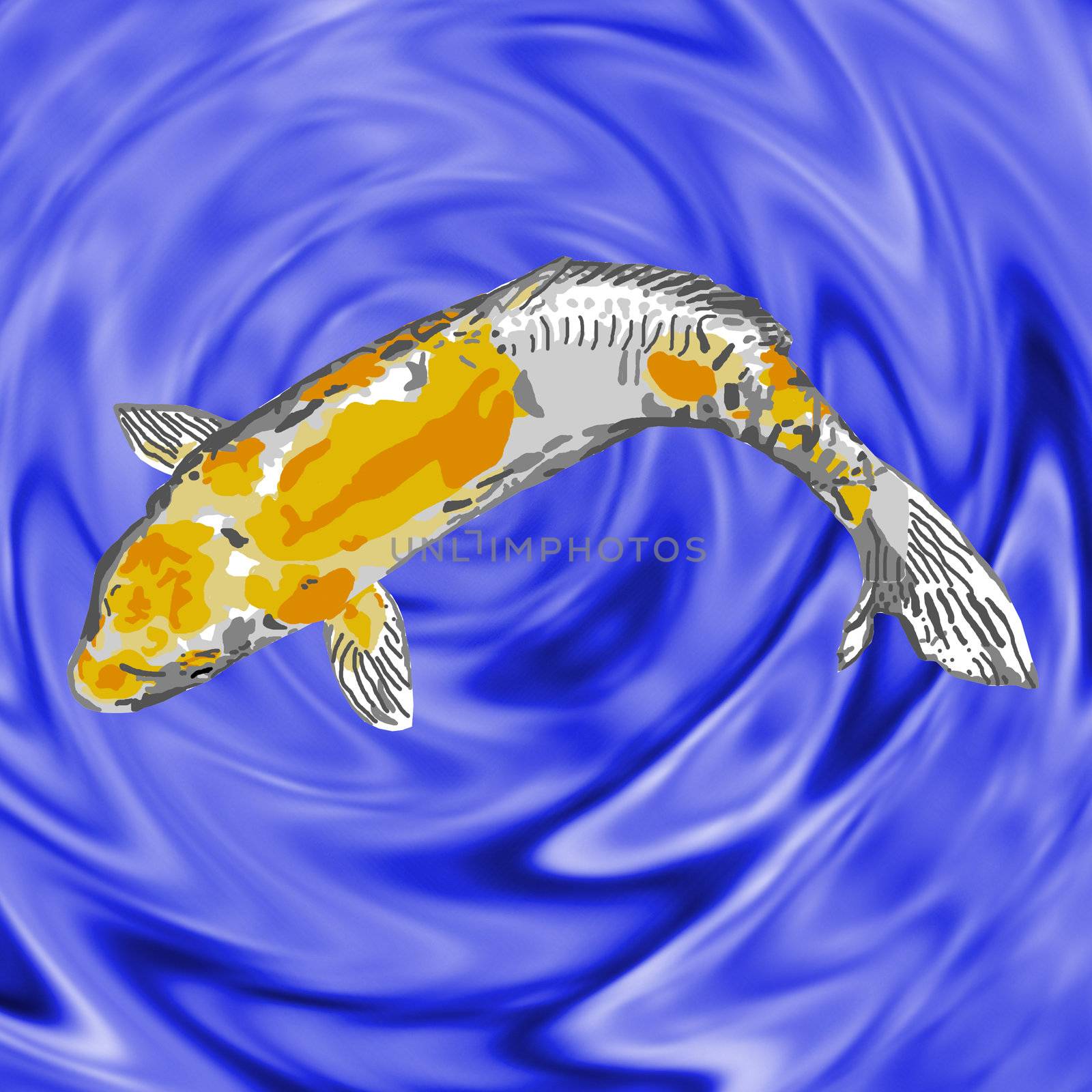 A gold-and-white koi swimming serenely in a fish pond.