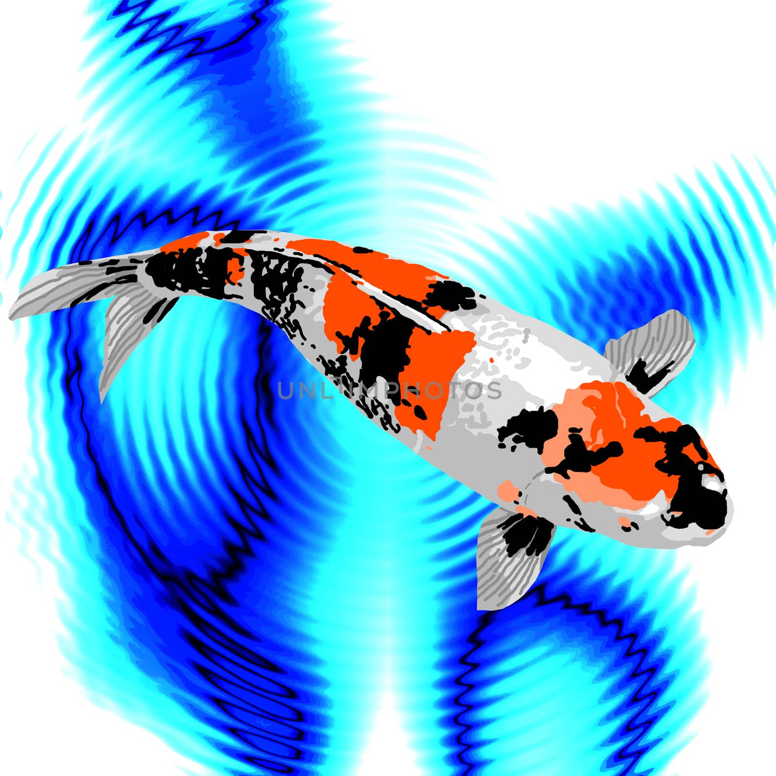 A black, orange, and white koi swimming peacefully in a pond.