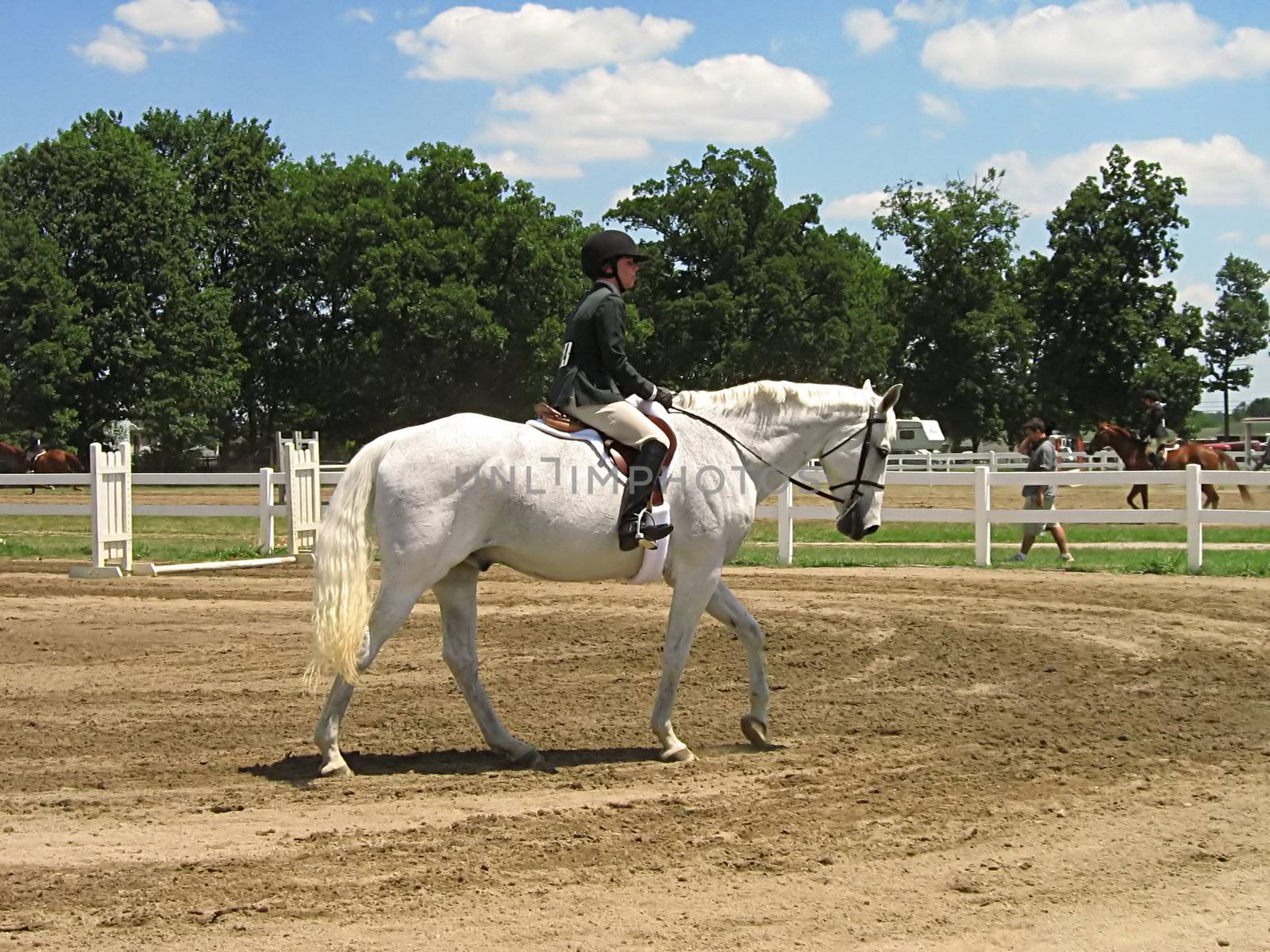Horse & Rider by llyr8