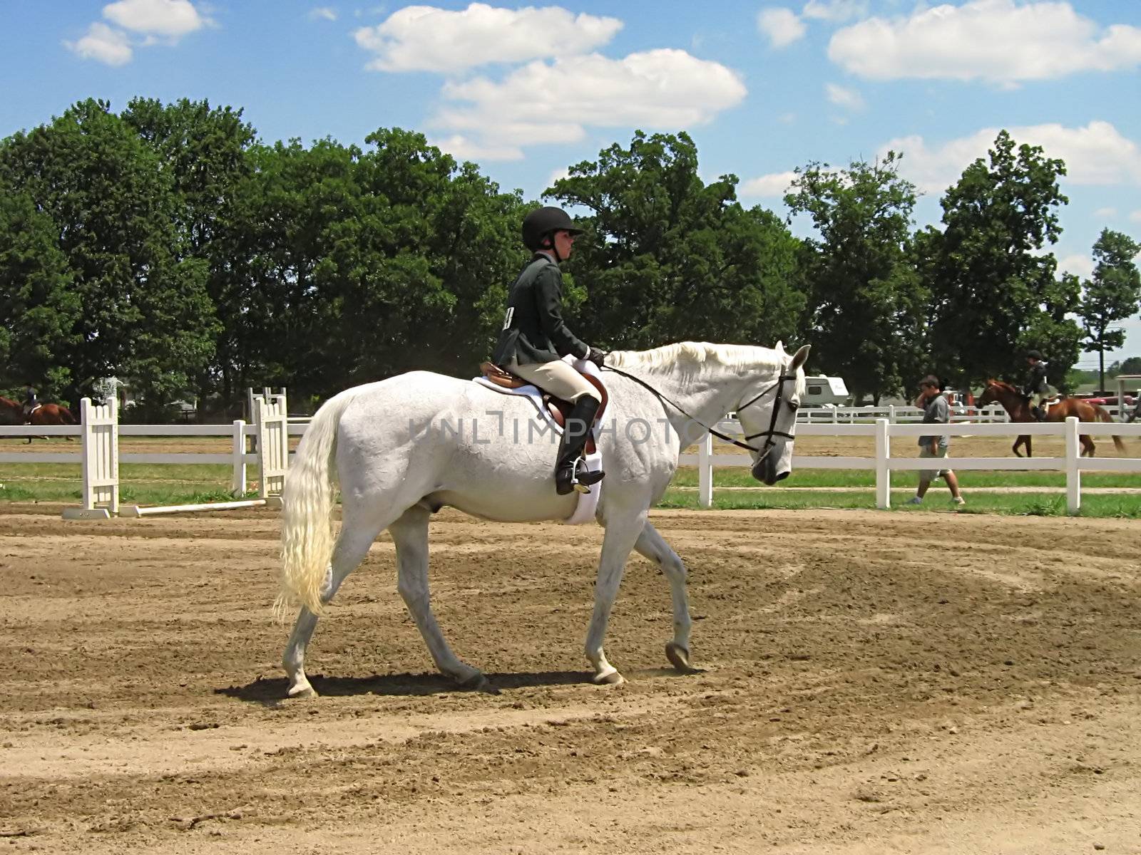 A photograph of a horse and rider.