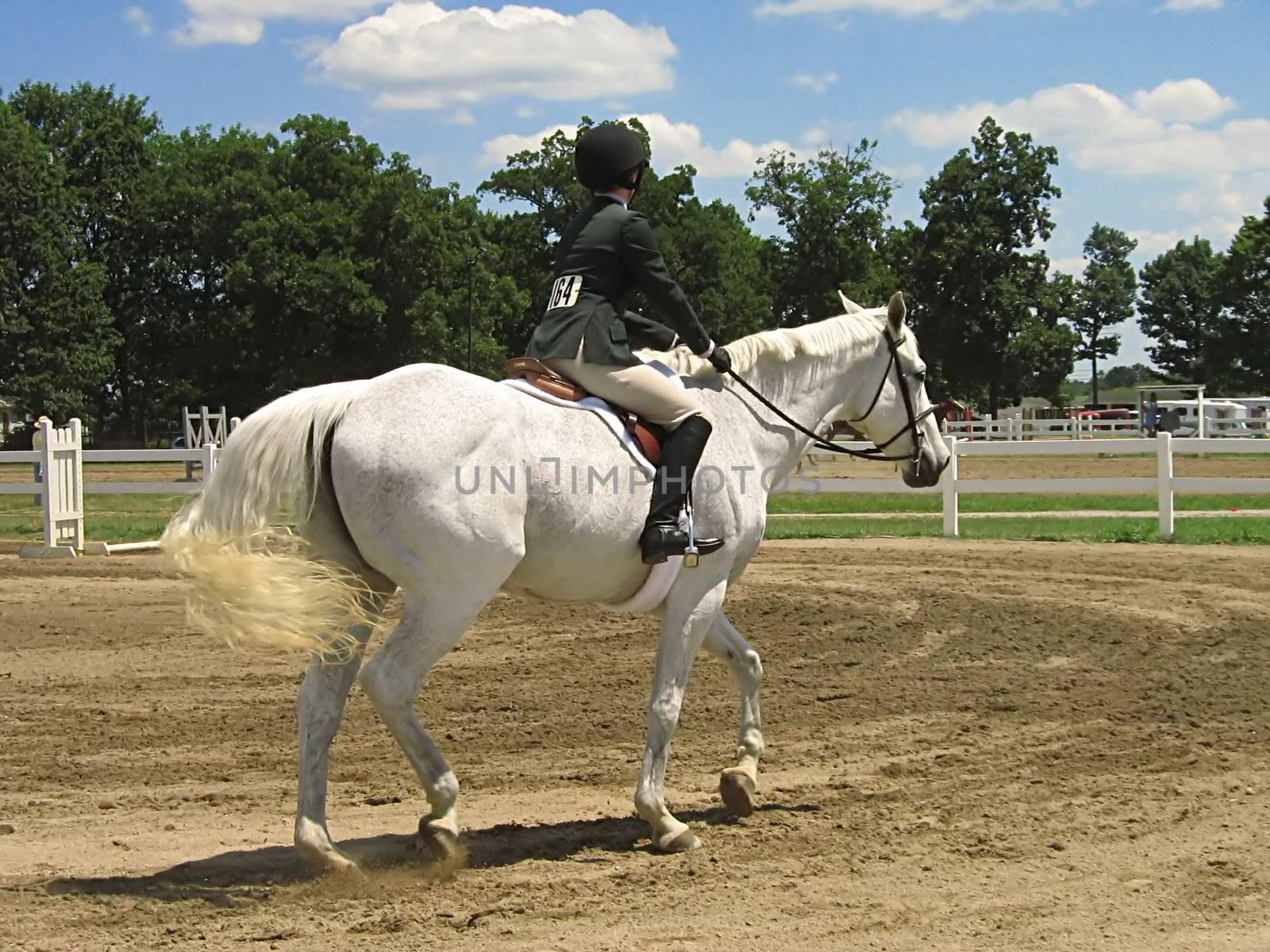 Horse & Rider by llyr8