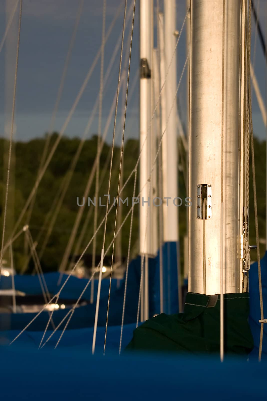 Sailboat masts in a row by woodygraphs