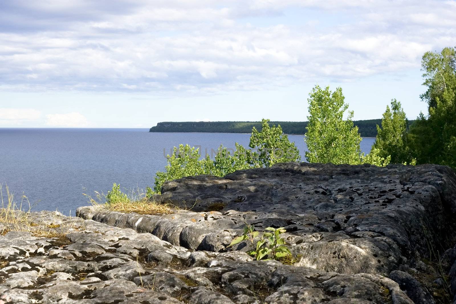 Porous rock and some foliage in the foreground, with Georgian Bay in the background.